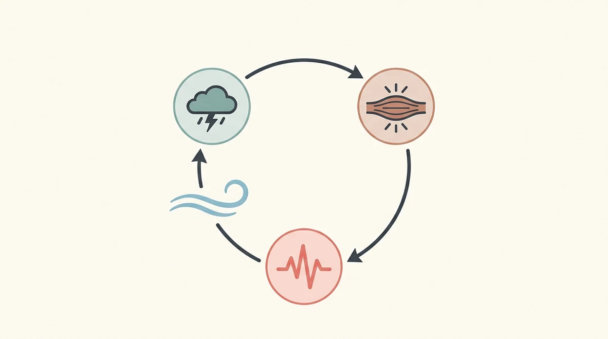 fear tension pain cycle diagram fear tension pain cycle mechan