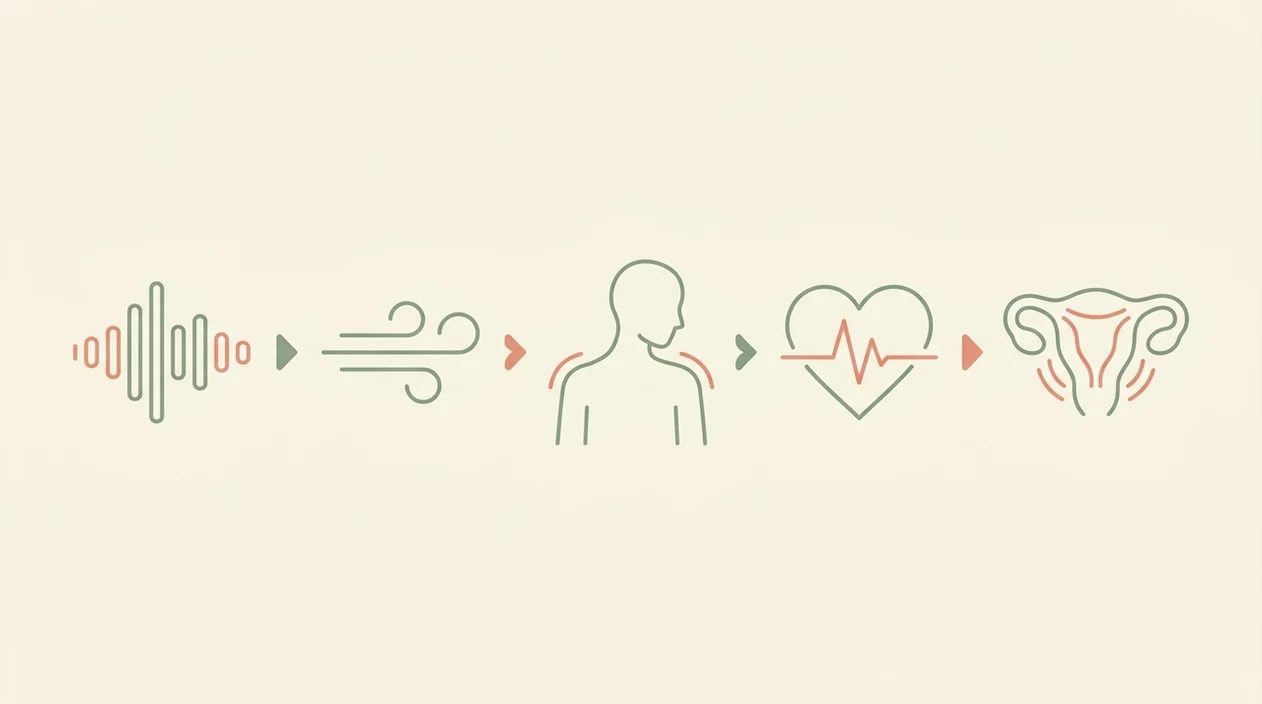 hypnobirthing relaxation response diagram hypnobirthing relaxation respo